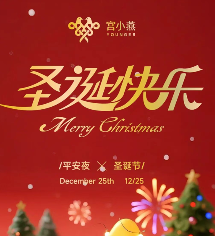 圣诞的暖意，藏在宫小燕这一份鲜炖的温柔里